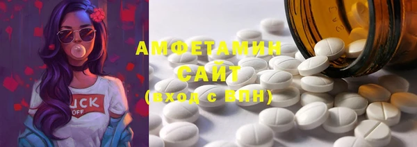 индика Покачи