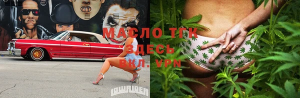 хмурый Осинники