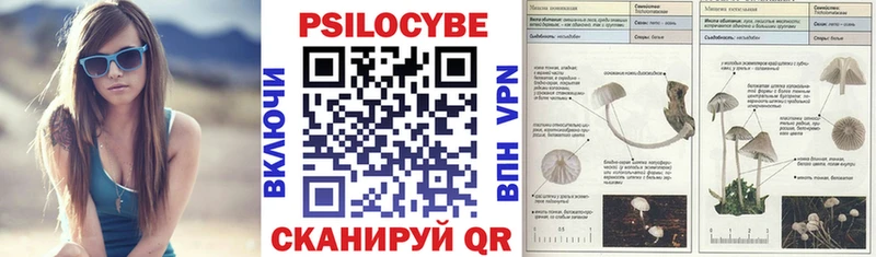 Галлюциногенные грибы Psilocybine cubensis  Купить где  Шацк 